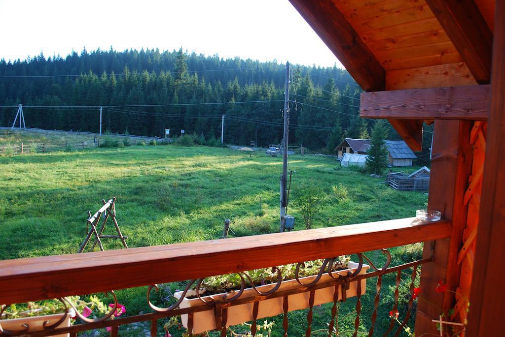 Cottage 12 Months Vorokhta Exterior foto