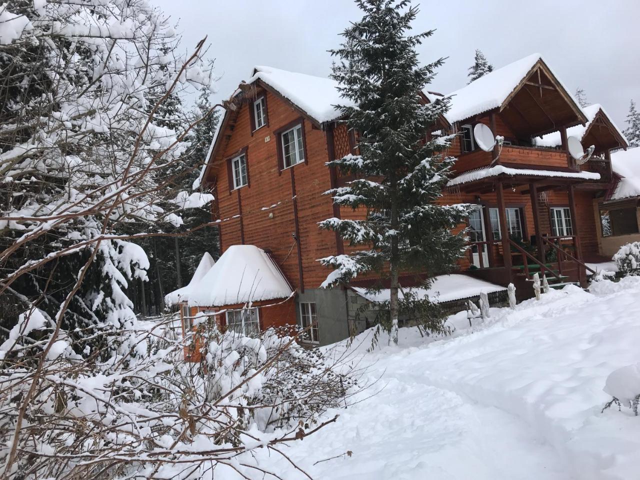 Cottage 12 Months Vorokhta Exterior foto